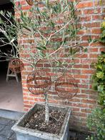 Roestballen, Ophalen of Verzenden