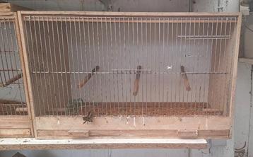 Boîtes d'élevage en bois 8 pièces, Enlèvement ou Envoi, Comme neuf, Bois