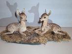 Damhert kalfjes. Uniek item! Landelijke interieur, Ophalen of Verzenden, Zo goed als nieuw, Hert, Opgezet dier