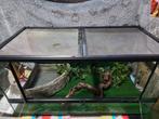 terrarium terratlantis  88x45x45