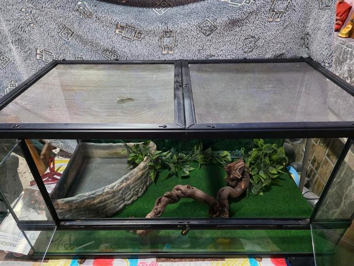 terrarium terratlantis  88x45x45, Animaux & Accessoires, Reptiles & Amphibiens | Accessoires