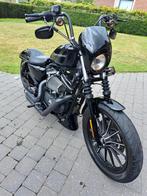 Prachtige Harley Davidson sportster, zwart, Motoren, Motoren | Harley-Davidson, 2 cilinders, Sportuitlaat, 883 cc, Particulier