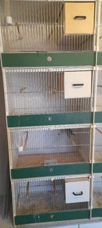 Kweekkooien, Ophalen, Gebruikt, Kunststof, Broedkooi of Kweekkooi