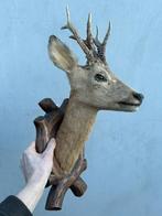Hert, ree met gewei - taxidermie, Ophalen of Verzenden, Gebruikt, Hert, Gewei of Kop