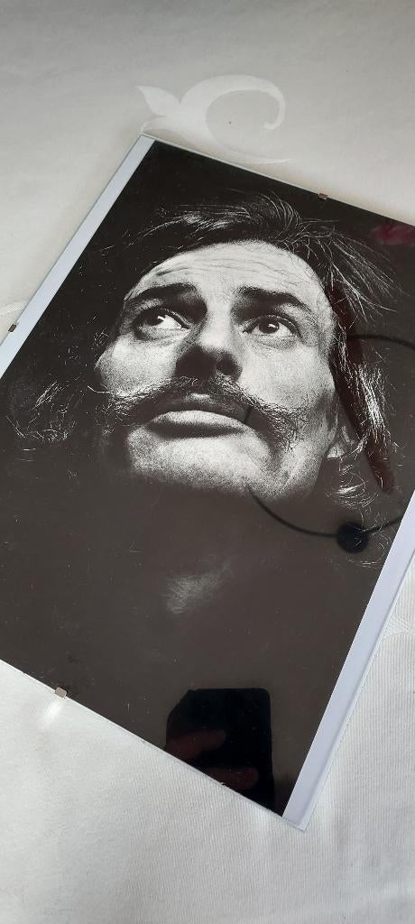 foto van Jean Ferrat, Verzenden, Zo goed als nieuw, Reclamebord