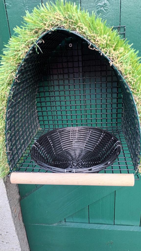 Broednesten, Dieren en Toebehoren, Vogels | Overige Vogels, Meerdere dieren, Wildzangvogel