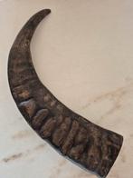 Waterbuffel hoorn, Ophalen of Verzenden, Zo goed als nieuw, Gewei of Kop
