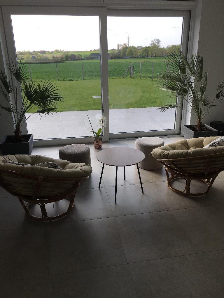 Rotan kuipstoelen te koop, Ophalen, Overige kleuren, Hout, Zo goed als nieuw