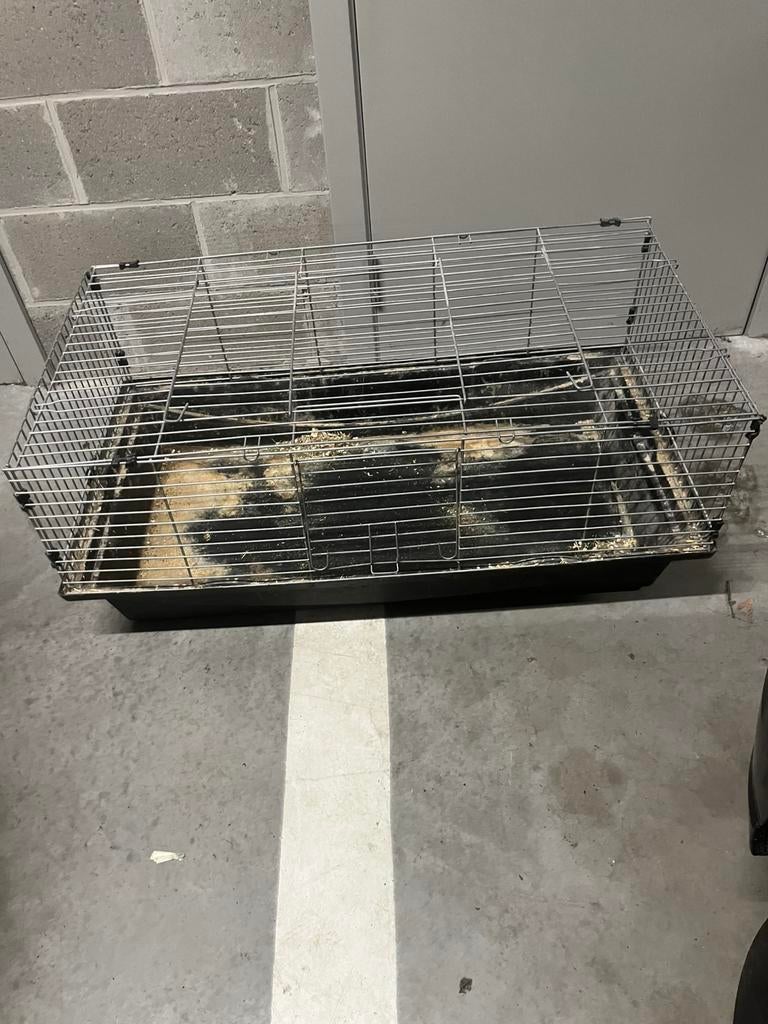 Cages lapin, Animaux & Accessoires, Enlèvement, Utilisé, Lapin