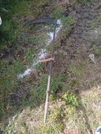 Ouderwertse zijs, Tuin en Terras, Planten | Fruitbomen, Ophalen