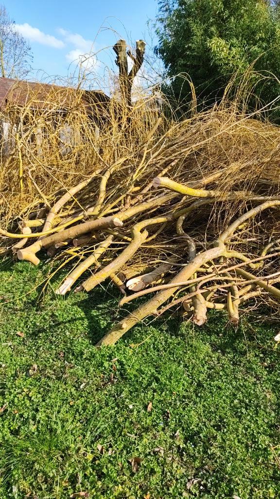 Gratis brandhout, Tuin en Terras, Brandhout, Ophalen