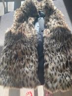 Veste sans manches femme S, Kleding | Dames, Bodywarmers, Ophalen, Nieuw, Maat 36 (S), Beige