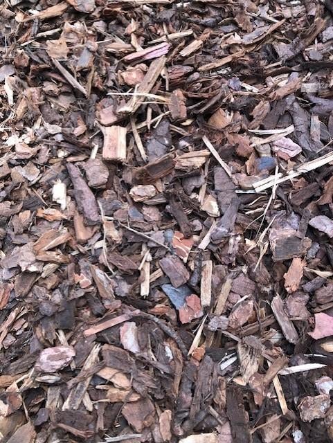 Boomschors Pinus Sylvestris, Tuin en Terras, Planten | Bomen, Ophalen