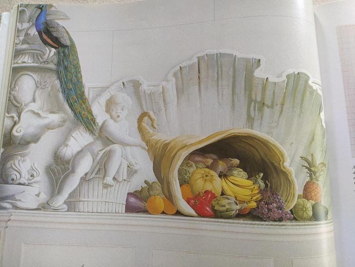 boek: the painted house/Graham Rust, Livres, Art & Culture | Arts plastiques, Utilisé, Peinture et dessin, Enlèvement ou Envoi