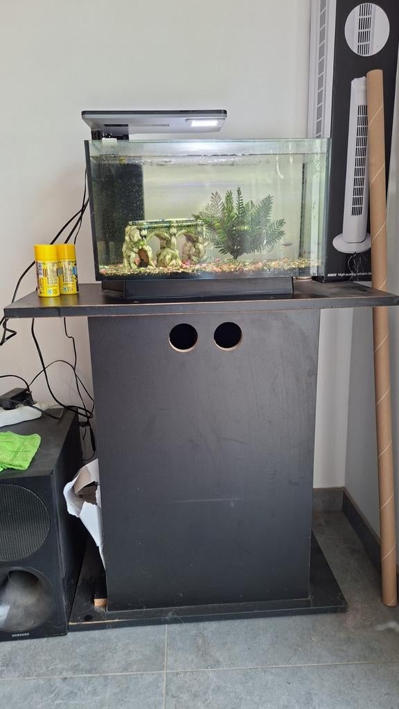 Aquarium complet à vendre – 110€, Animaux & Accessoires, Poissons | Aquariums & Accessoires, Enlèvement