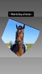 Vendez votre cheval pour vous GRATUITEMENT, Enlèvement ou Envoi, Neuf