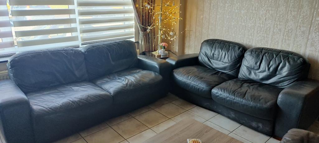 Salon, Enlèvement, Utilisé, Cuir