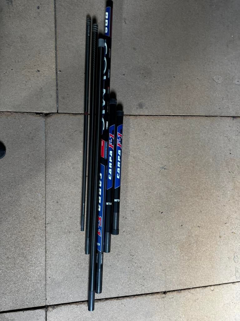 Cane carpo F1, Enlèvement