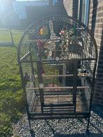 Grade cage pour perroquet, Enlèvement, Comme neuf