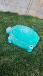 Zandbak schildpad, Enlèvement