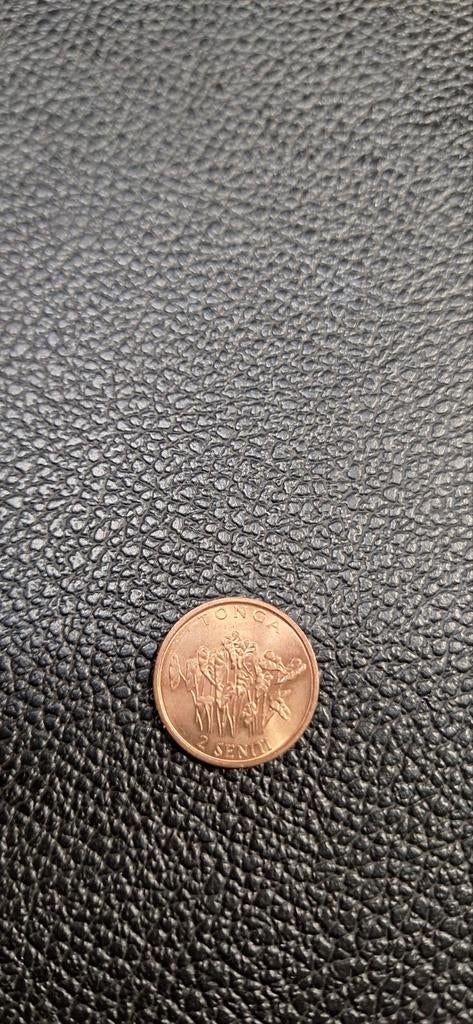 Tonga 2 seniti 1981  FAO, Postzegels en Munten, Munten | Oceanië, Ophalen of Verzenden