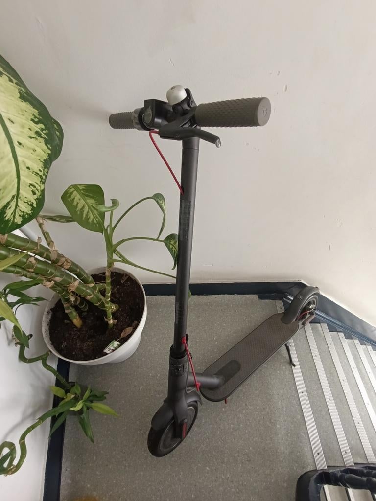 Trottinette, Enlèvement