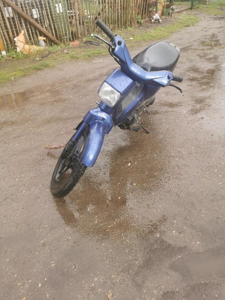 Honda wallaroo a klasse de lux, Fietsen en Brommers, Brommers | Crossbrommers, Honda, Ophalen