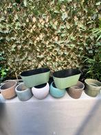 8 bloempotten, Ophalen, Gebruikt