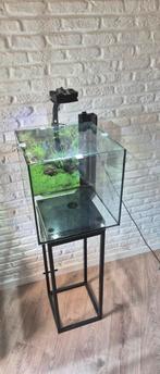 Aquarium 60 vierkant, Ophalen