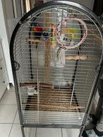 Pappegaai lori met kooi, Enlèvement, Comme neuf