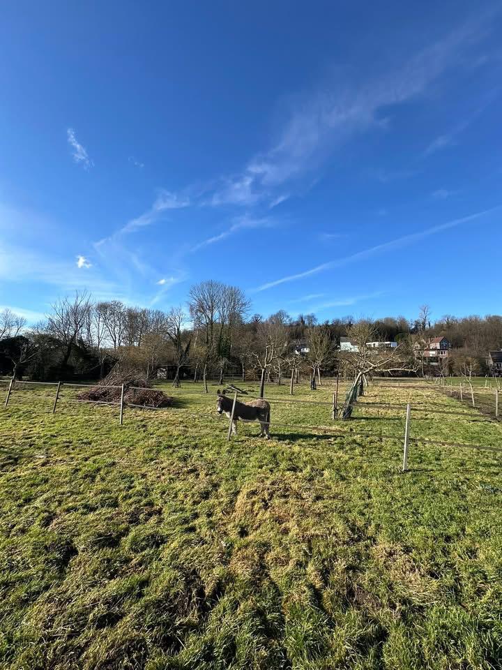 Wonck prairie à louer magnifique, plus boxe à l’intérieur, Animaux & Accessoires, Box & Pâturages