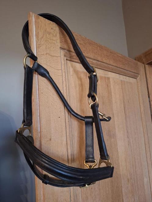Halster leder maat Cob, Dieren en Toebehoren, Paarden en Pony's | Hoofdstellen en Tuigage, Zo goed als nieuw, Ophalen of Verzenden