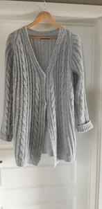 Gilet gris Geisha XS34, Vêtements | Femmes, Enlèvement ou Envoi, Porté