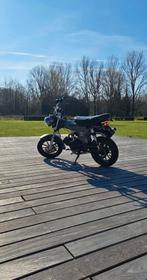 Skyteam Dax, Fietsen en Brommers, Brommers | Honda, Ophalen, Gebruikt, Overige modellen, Klasse B (45 km/u)