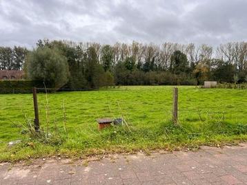 Grond te koop in Hamme beschikbaar voor biedingen