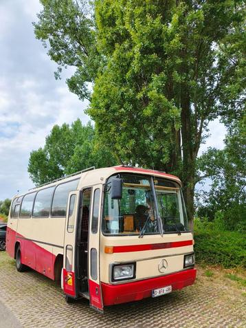 autobus/camping-car converti, Toilette à cassette, Boîte manuelle, Réfrigérateur, Mercedes-Benz