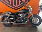 Harley-Davidson SPORTSTER XL1200CB, Boîte manuelle, Noir, Achat, Autre carrosserie