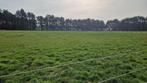 Weide, Ophalen of Verzenden, Tot 1 ha, Paardenhouderij