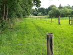Weiland Vorselaar ., Dieren en Toebehoren, Stalling en Weidegang, Stalling, 1 paard of pony