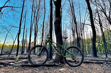 2023 Norco Fluid FS A1 size XL 29” beschikbaar voor biedingen