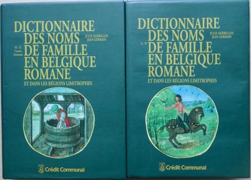 DICTIONNAIRE DES NOMS DE FAMILLE EN BELGIQUE ROMANE ET..., Livres, Dictionnaires, Neuf, Français, Autres éditeurs, Enlèvement ou Envoi