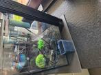 Superfish Qubiq 30l, Dieren en Toebehoren, Ophalen, Nieuw, Leeg aquarium
