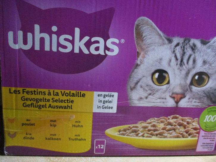 katteneten, Animaux & Accessoires, Nourriture pour Animaux, Chat, Enlèvement ou Envoi