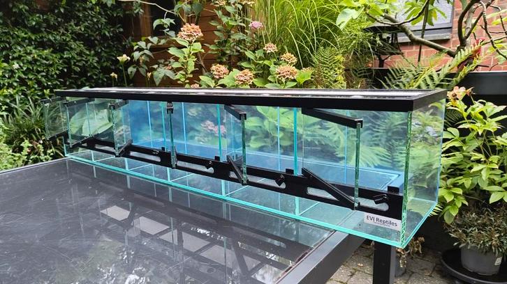 Terrarium straten, 1m breed, 6 units, incl rek, Dieren en Toebehoren, Reptielen en Amfibieën | Toebehoren, Nieuw, Terrarium of Paludarium