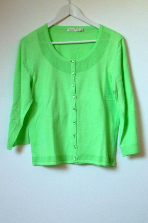 Gilet vert Liberty island XL, Vêtements | Femmes, Pulls & Gilets, Neuf, Taille 42/44 (L), Vert, Enlèvement ou Envoi