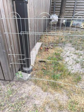 Knaagdieren ren, 62 cm hoog beschikbaar voor biedingen