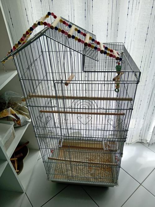 CAGE A OISEAUX NEUVE JAMAIS SERVIE, Animaux & Accessoires, Oiseaux | Cages & Volières, Neuf, Cage à oiseaux, Métal, Enlèvement