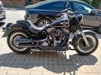 Harley Fat Boy, Particulier