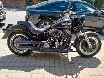 Harley Fat Boy, Particulier