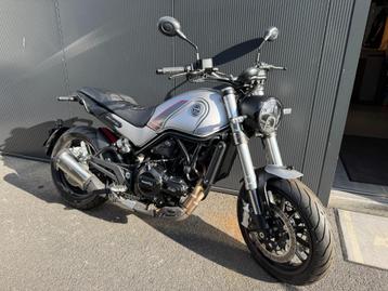 Benelli - Leoncino 500 beschikbaar voor biedingen